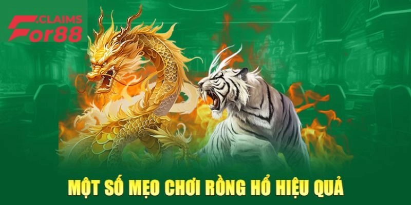 Cách Chơi Rồng Hổ Hiệu Quả Từ Chuyên Gia Giúp Thắng Lớn