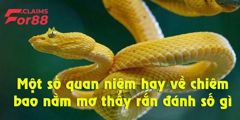 Mơ Thấy Rắn – Những Dấu Hiệu Cảnh Báo Tương Lai Cần Chú Ý