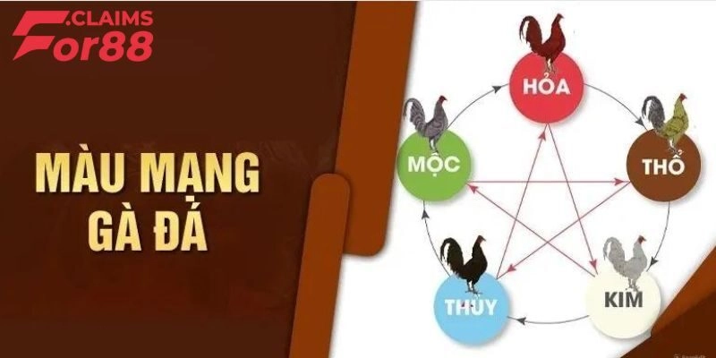 Tổng hợp các loại màu mạng gà đá theo ngũ hành